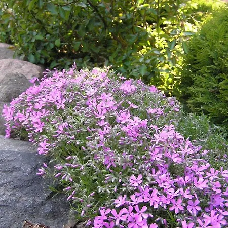 Dom Nad Jeziorem - Mazury * Ransk