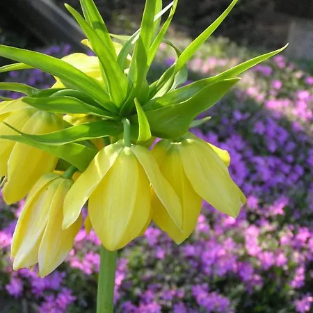 וילה Dom Nad Jeziorem - Mazury