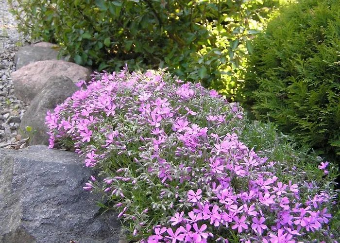 Dom Nad Jeziorem - Mazury * Ransk