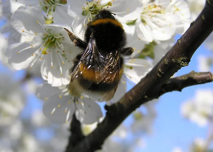 Dom Nad Jeziorem - Mazury