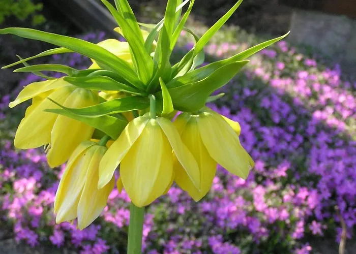 Willa Dom Nad Jeziorem - Mazury